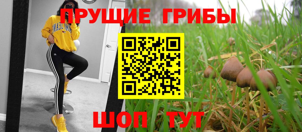 Галлюциногенные грибы MAGIC MUSHROOMS Москва